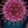 Positive for Coronavirus