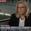 Liz Cheney on ABC This Week