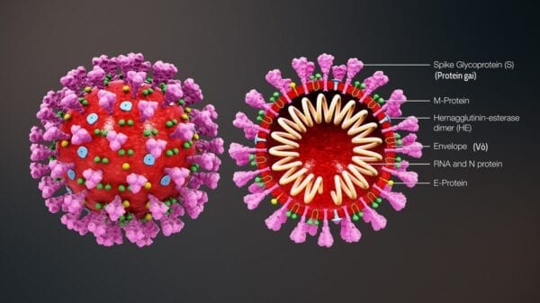 COVID-19 Cells