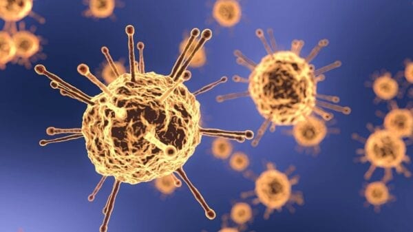 Coronavirus Cells