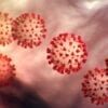 Coronavirus Cells Picture