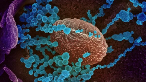 Coronavirus Cuts U.S. Life Expectancy