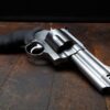 Smith and Wesson Sales