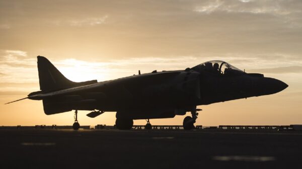 Harrier. Image: Creative Commons.