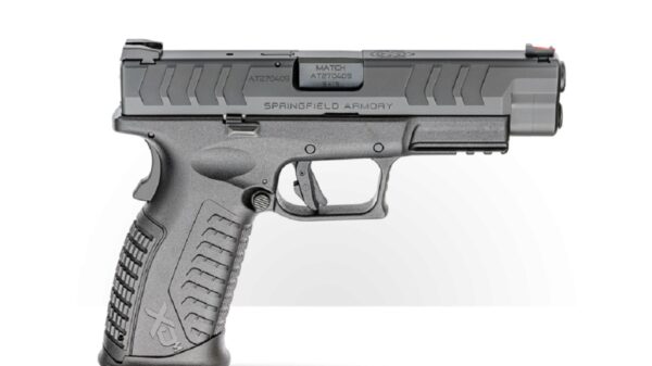Springfield XD(M)