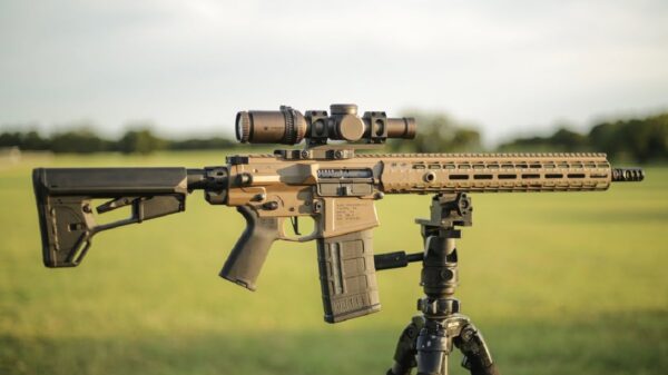 AR-15. Image Credit: Creative Commons.