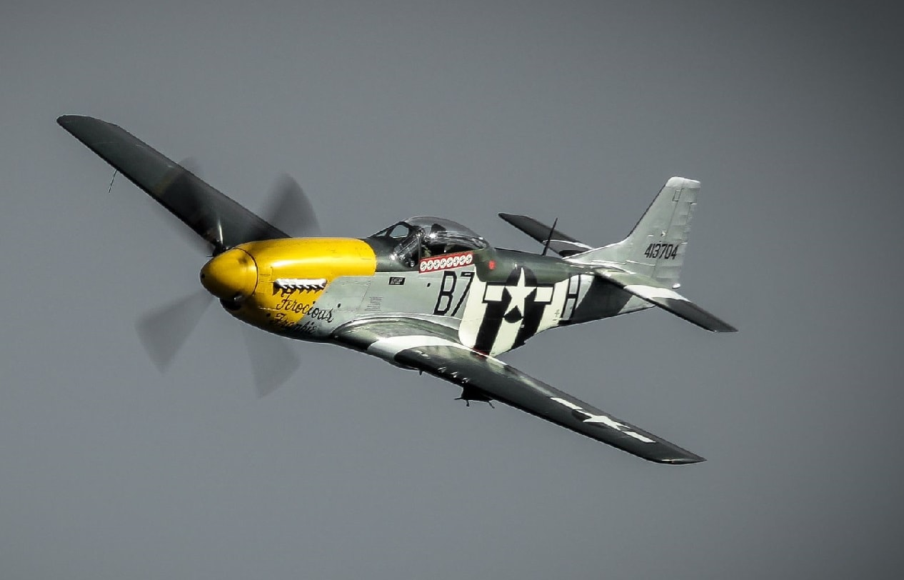 Fighter Teacher's day fascism Why the P-51 Mustang Was the Best World War II Fighter - 19FortyFive