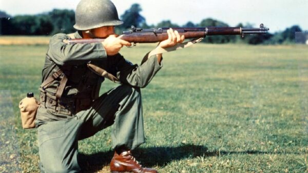 World War II Guns
