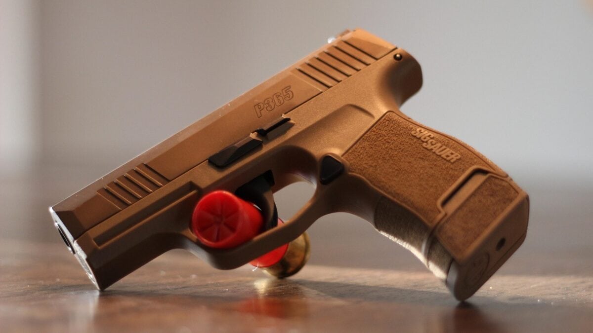 5 Best Guns for Concealed Carry SIG Sauer P365