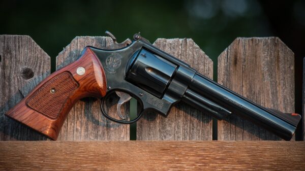 Smith & Wesson Model 29