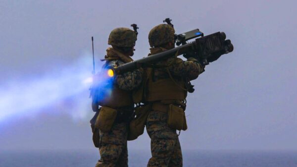 Stinger Missiles