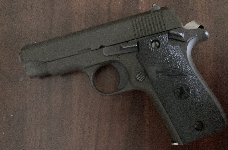 Colt Government Model .380 ACP