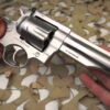 Ruger Redhawk .44 Magnum. Image Credit: Creative Commons.