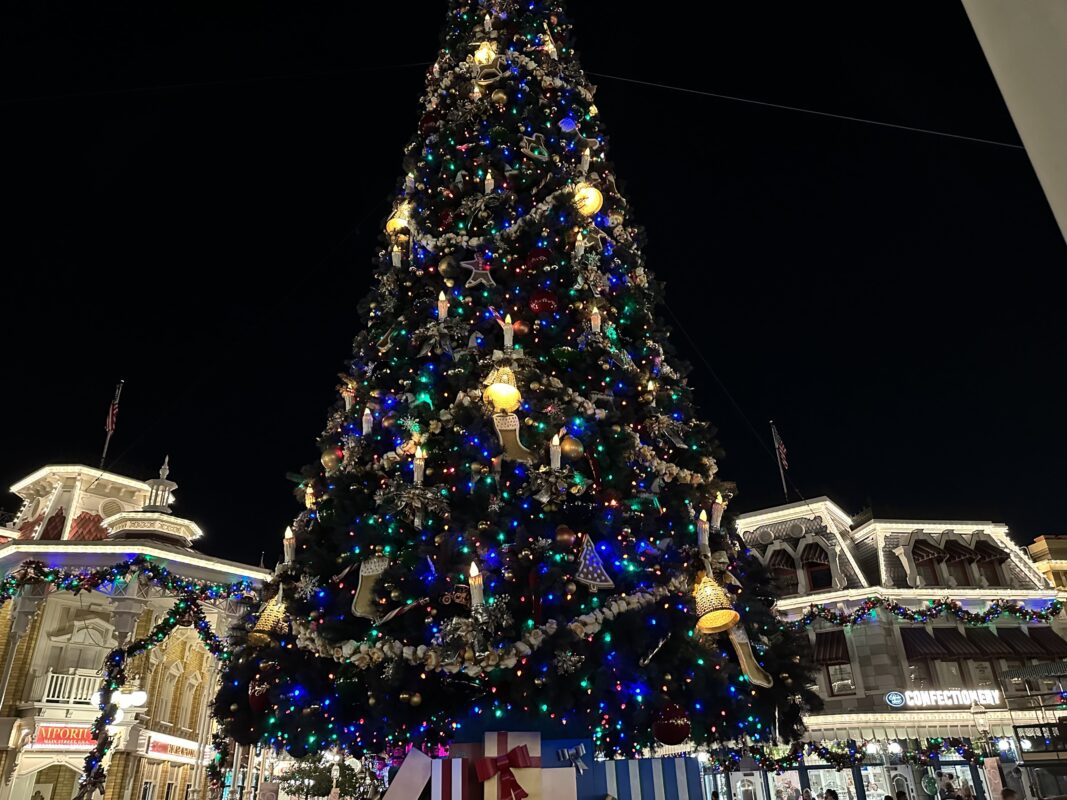 Disneyworld Christman Tree, December 16, 2022. 