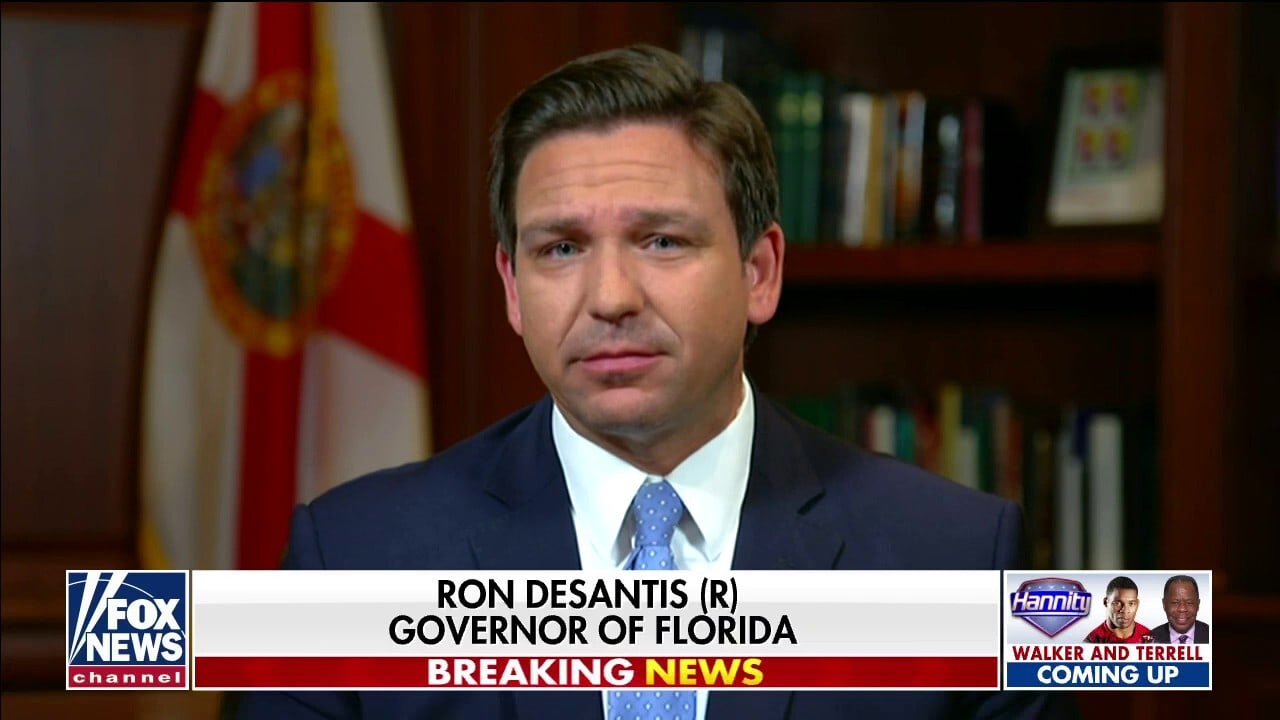 Ron DeSantis on Fox News. Image Credit: Screenshot.