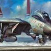 F-14 Tomcat Fighters