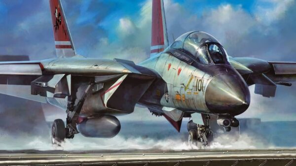 F-14 Tomcat Fighters