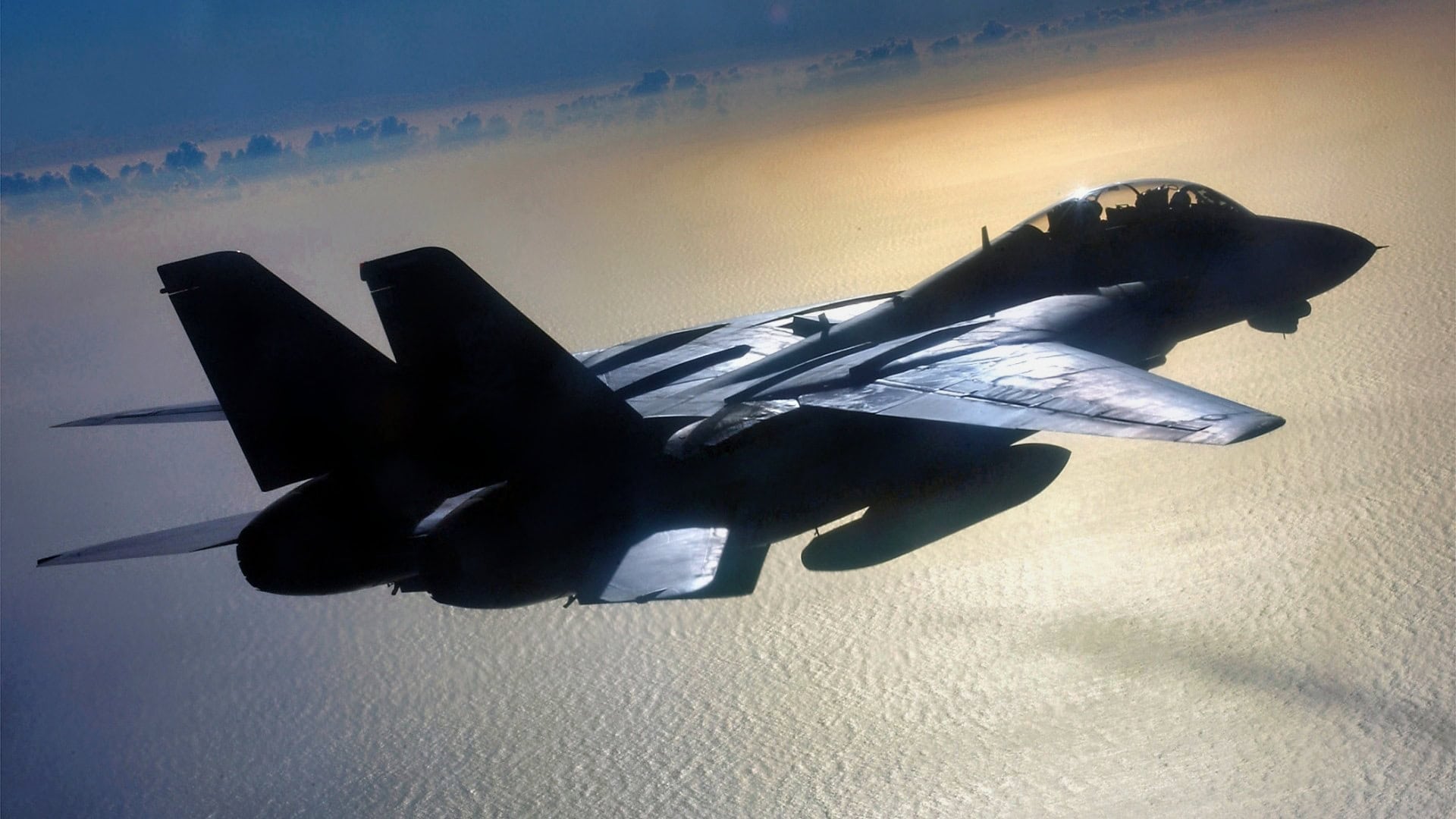 F-14 Tomcat Fighter