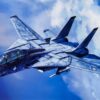 F-14 Tomcat