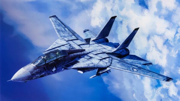 F-14 Tomcat