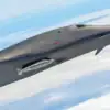 B-1B Lancer Bomber with External Weapons