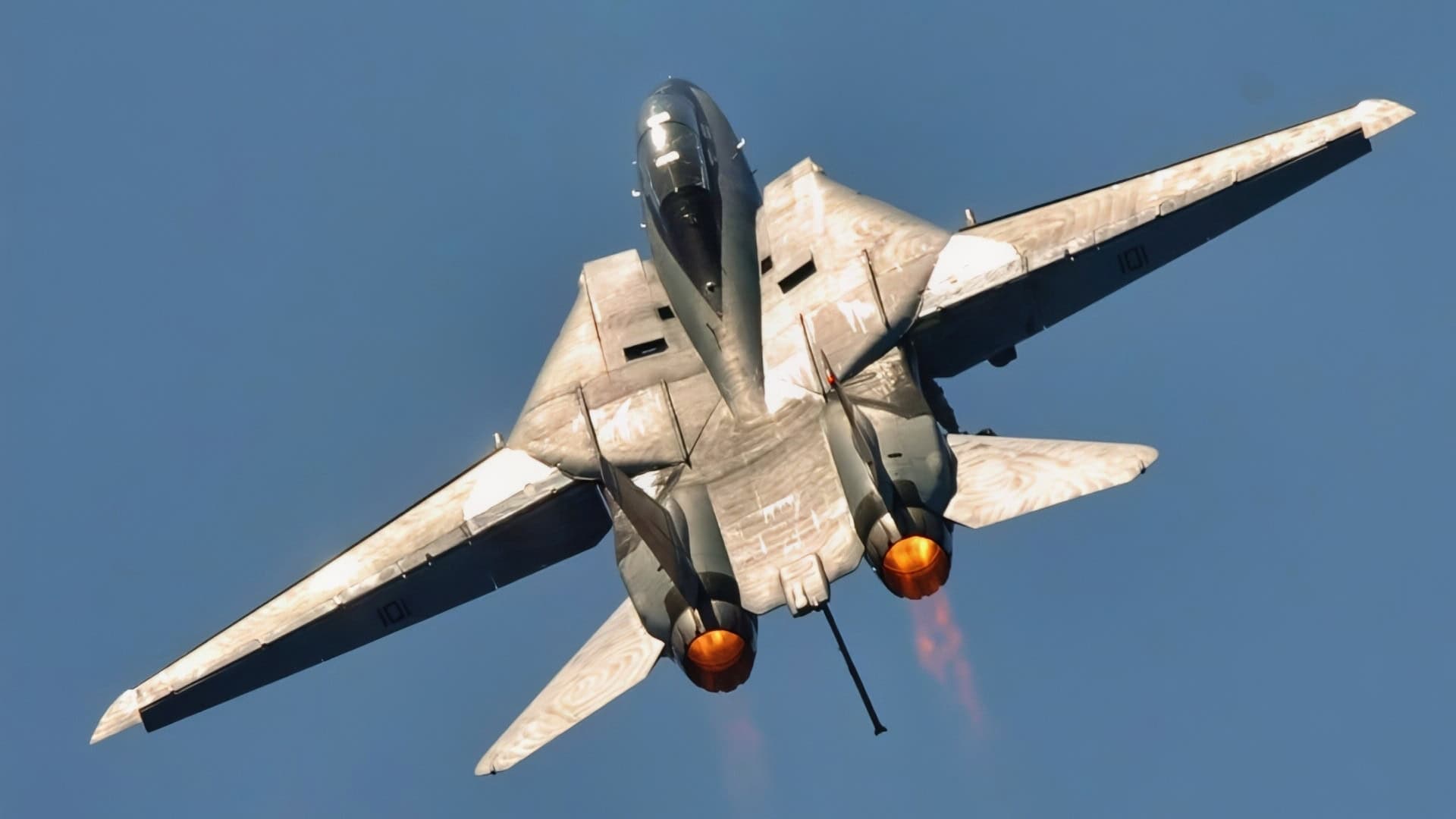 Sorry, U.S. Navy: The F-14 Tomcat Almost Flew for the U.S. Air Force