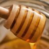 Archaeologists opening Egyptian tombs sealed more than 3,000 years ago have found jars of honey still liquid, still sweet, and still perfectly edible — because honey is one of the only foods on Earth that never spoils, and the reason comes down to three things a bee does to it before it ever reaches the comb