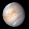 Venus