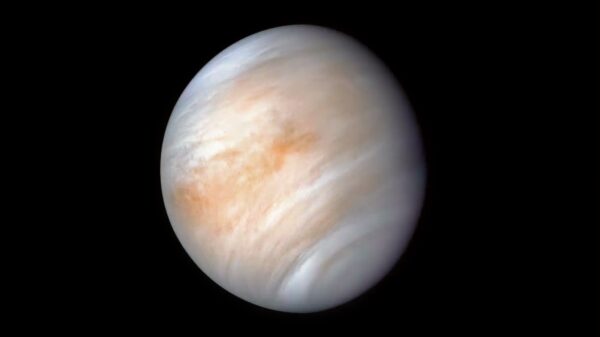 Venus