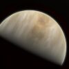 This artistic impression depicts our Solar System neighbour Venus, where scientists have confirmed the detection of phosphine molecules. The molecules were detected in the Venusian high clouds in data from the James Clerk Maxwell Telescope and the Atacama Large Millimeter/submillimeter Array, in which ESO is a partner.  Astronomers have speculated for decades that life could exist in Venus’s high clouds. The detection of phosphine could point to such extra-terrestrial “aerial” life.