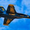 A U.S. Navy Blue Angel F/A-18A Super Hornet flies overhead in preparation for their performance at the Naval Air Station (NAS) Patuxent River Air Show on Naval Air Station Patuxent River, June 19, 2026. (U.S. Navy photo by Mass Communication Specialist 2nd Class John T. Jarrett)