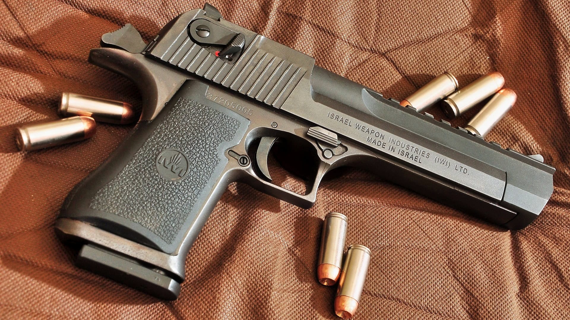 Desert Eagle Creative Commons Photo