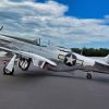 P-51 Mustang Photo from Leesburg, VA Airshow on 9/26/2026 19FortyFive Photo