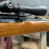 Ruger 10/22 YouTube Screenshot