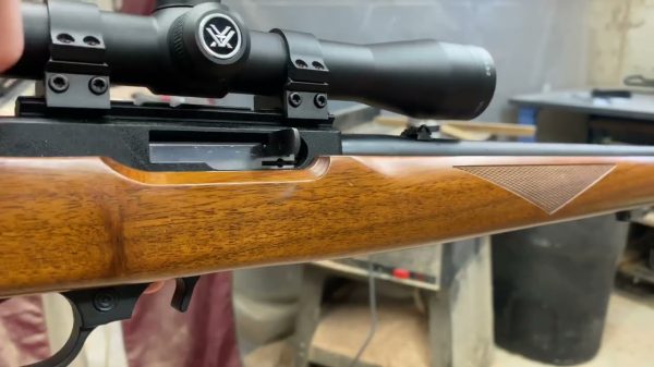 Ruger 10/22 YouTube Screenshot