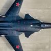 Su-47 Fighter Creative Commons Photo