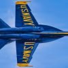 An F/A-18 Super Hornet aircraft with the U.S. Navy flight demonstration squadron, the Blue Angels, executes a high-speed pass during the Arctic Thunder Open House at Joint Base Elmendorf-Richardson, Alaska, Aug. 8, 2026. The Blue Angels connect the American people to the quiet professionalism, technical mastery and unwavering resolve of the Navy–Marine Corps teams. (U.S. Navy photo by Mass Communication Specialist 2nd Class David Rowe)